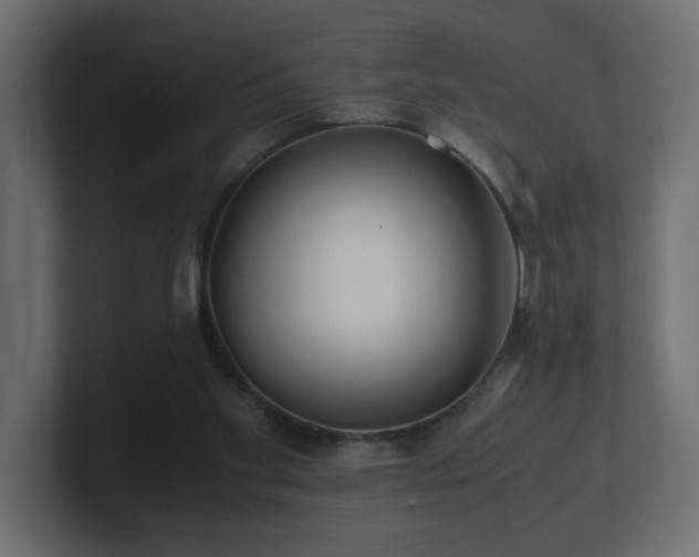 X0000100760109200806261613