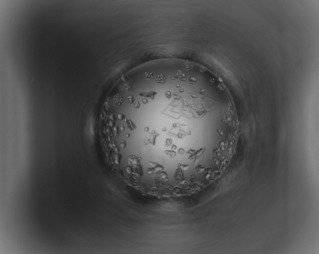 X0000100760115200806261613