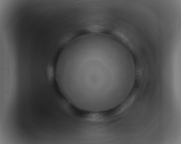 X0000100760117200806261613