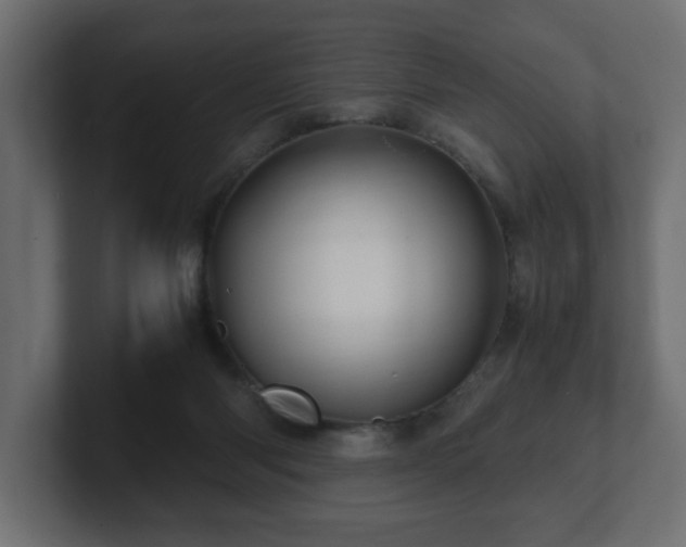 X0000100760118200806261613