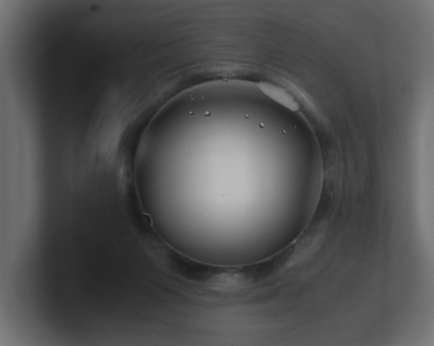 X0000100760119200806261613