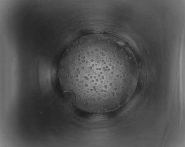 X0000100760123200806261613