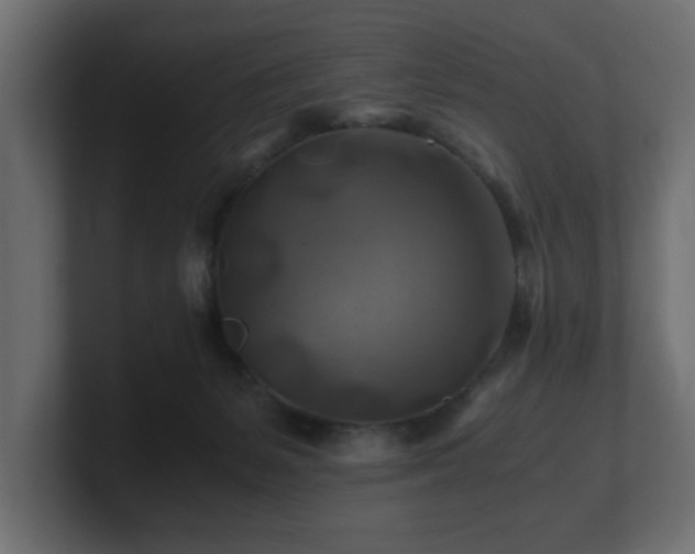 X0000100760127200806261613