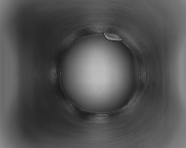 X0000100760128200806261613