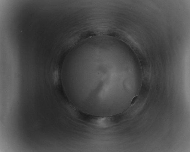 X0000100760130200806261613