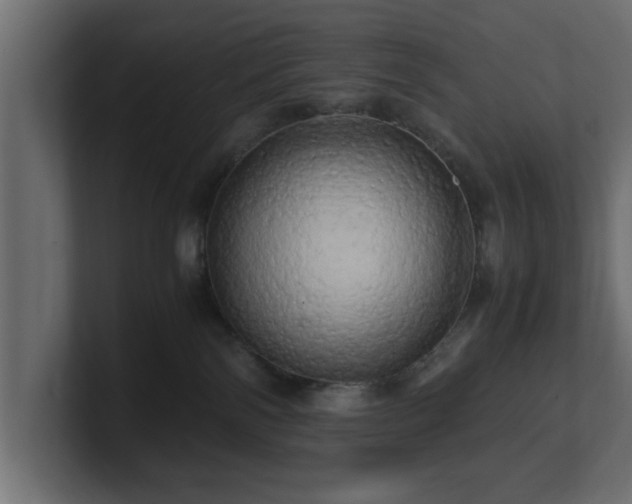 X0000100760138200806261612