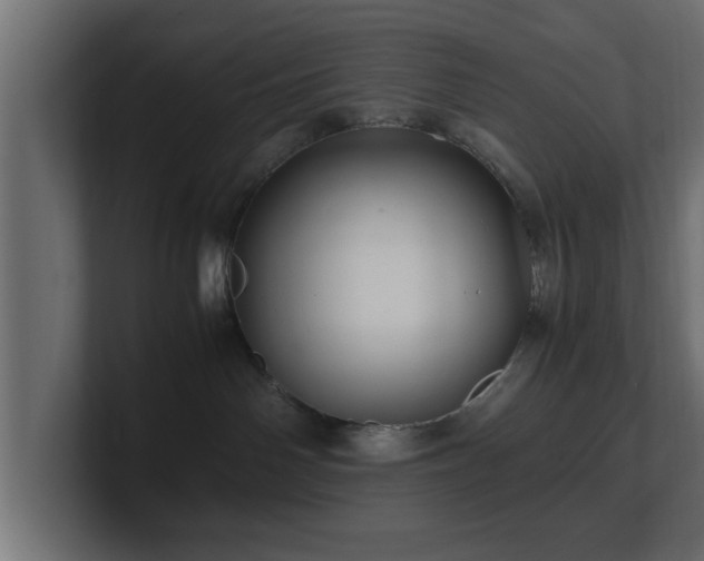 X0000100760142200806261612