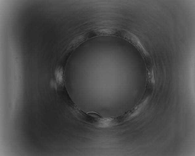 X0000100760143200806261612