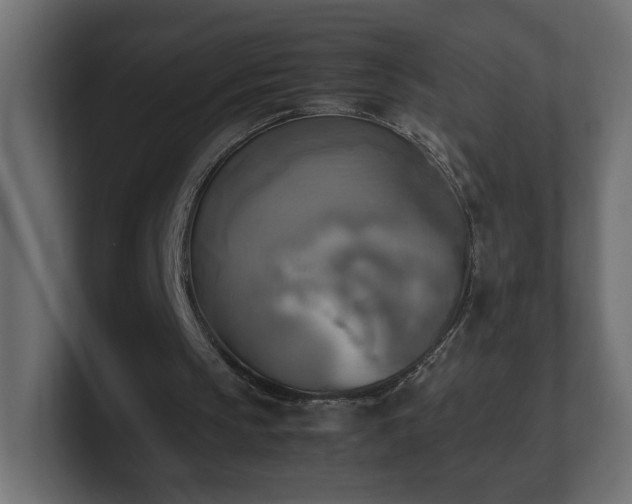 X0000100760145200806261612