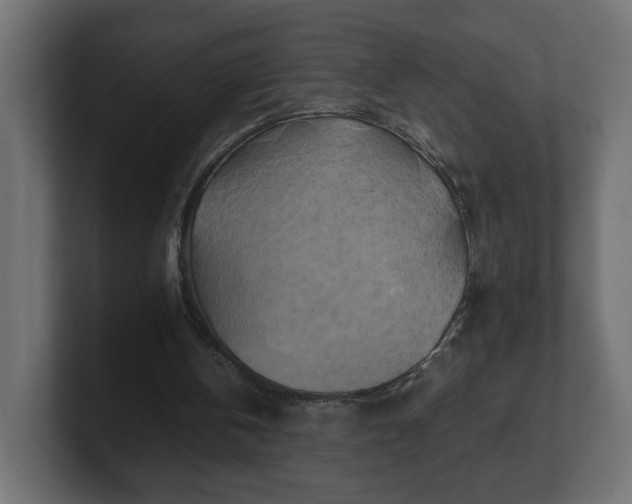 X0000100760146200806261612