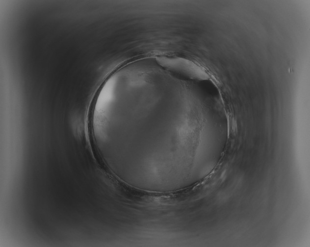 X0000100760147200806261612