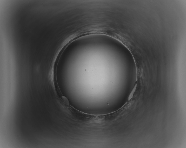 X0000100760148200806261612