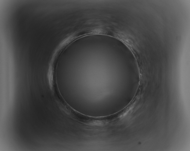 X0000100760149200806261612