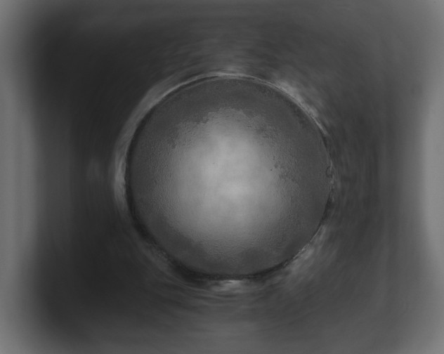 X0000100760151200806261612