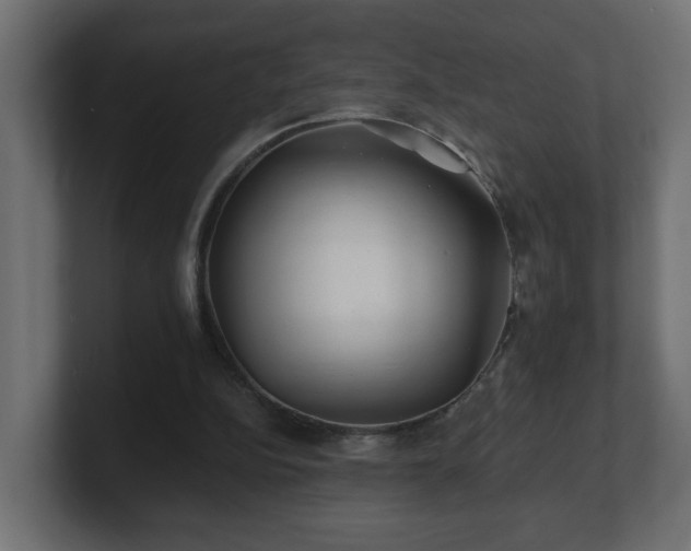 X0000100760152200806261612