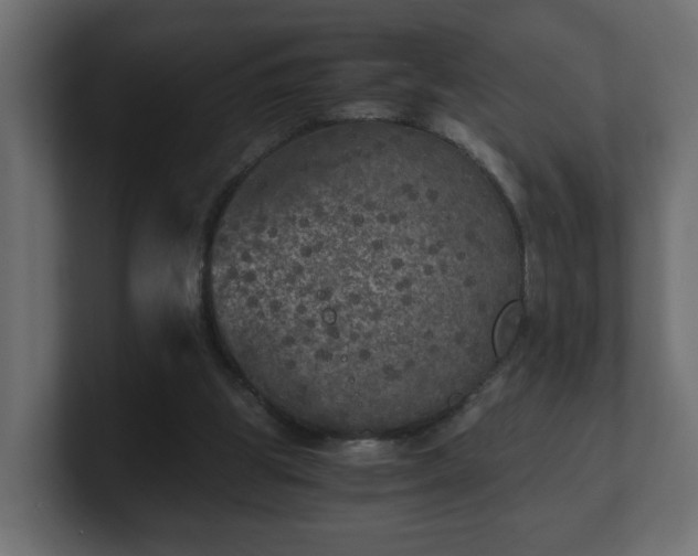 X0000100760153200806261612