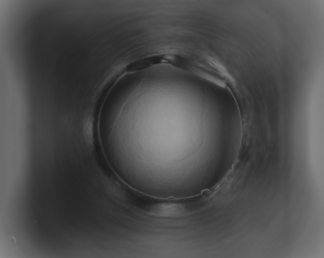 X0000100760154200806261612