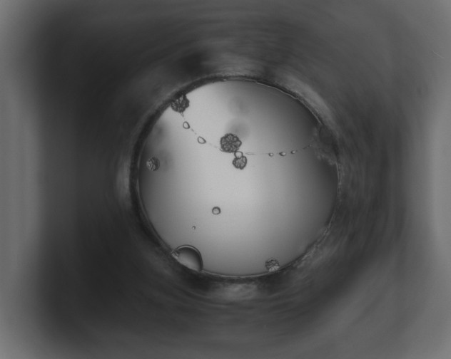 X0000100760155200806261612