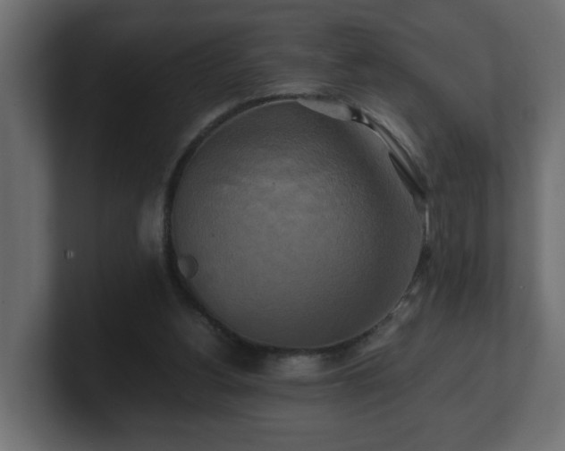 X0000100760156200806261612