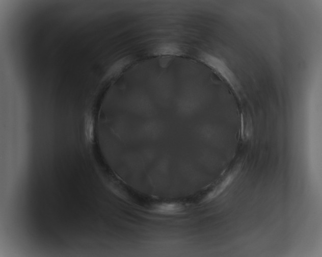 X0000100760157200806261612