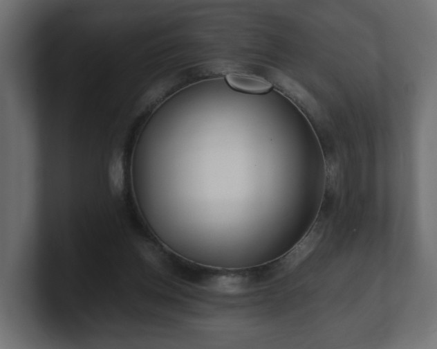 X0000100760158200806261612