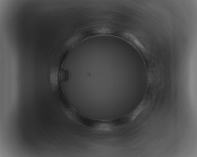 X0000100760163200806261612