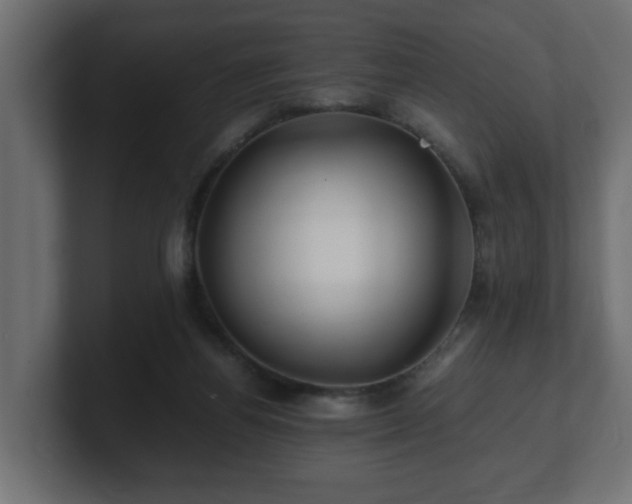 X0000100760164200806261612