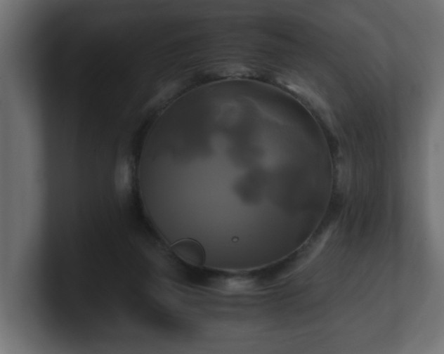 X0000100760165200806261612