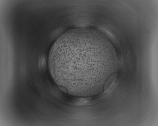 X0000100760166200806261612