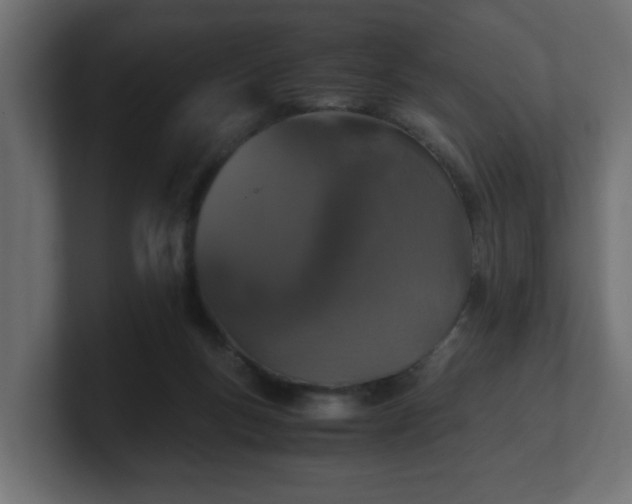 X0000100760167200806261612