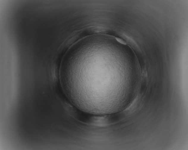 X0000100760170200806261612