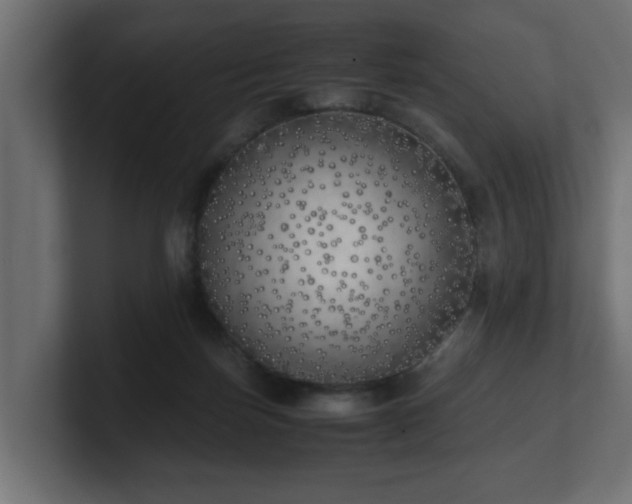 X0000100760171200806261612