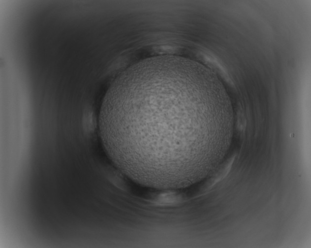 X0000100760173200806261612