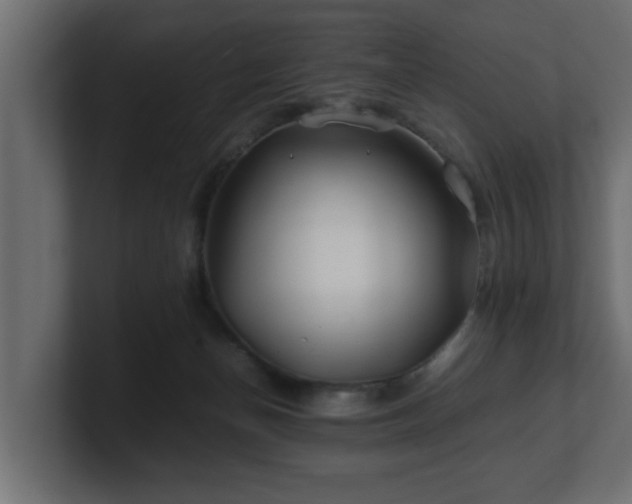 X0000100760174200806261612