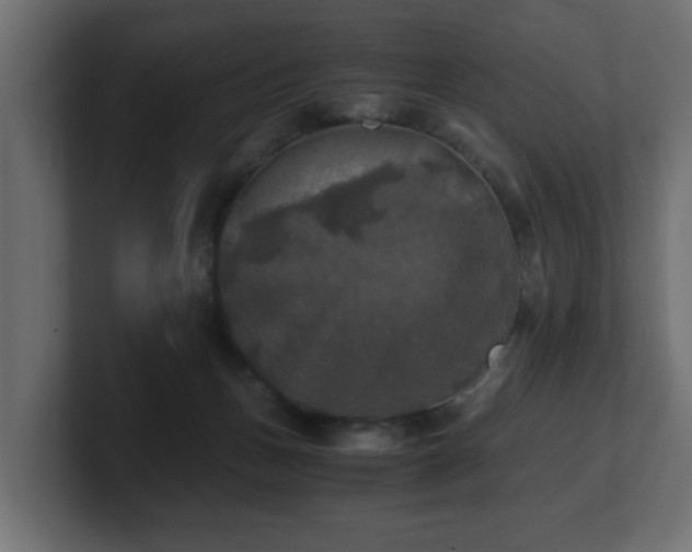 X0000100760175200806261612