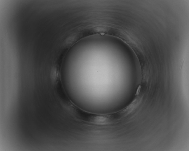 X0000100760176200806261612