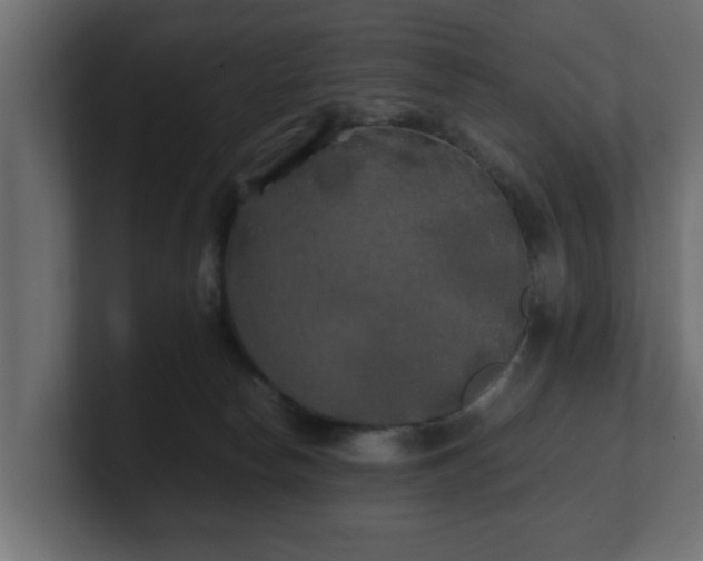 X0000100760178200806261612