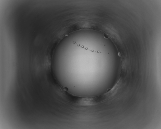 X0000100760179200806261612