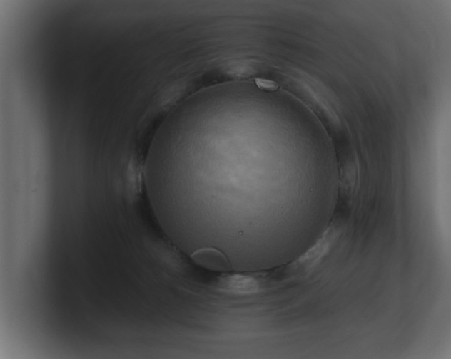 X0000100760180200806261612