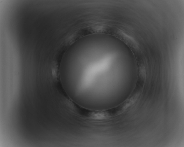 X0000100760181200806261612