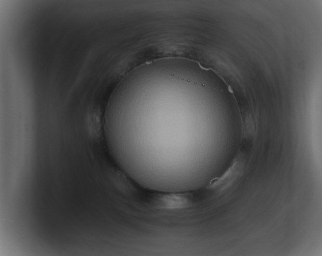 X0000100760183200806261612