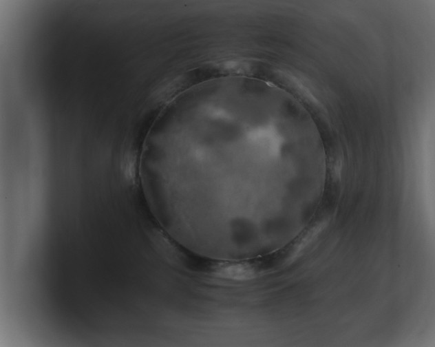 X0000100760185200806261612