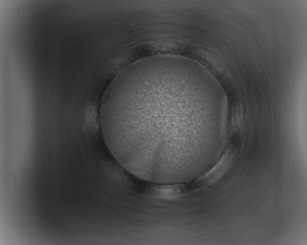 X0000100760187200806261612