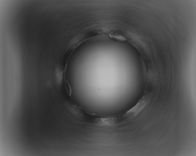 X0000100760188200806261612