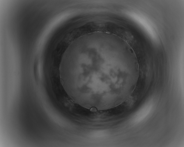 X0000100760189200806261612