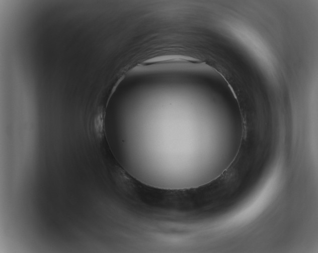 X0000100760190200806261612