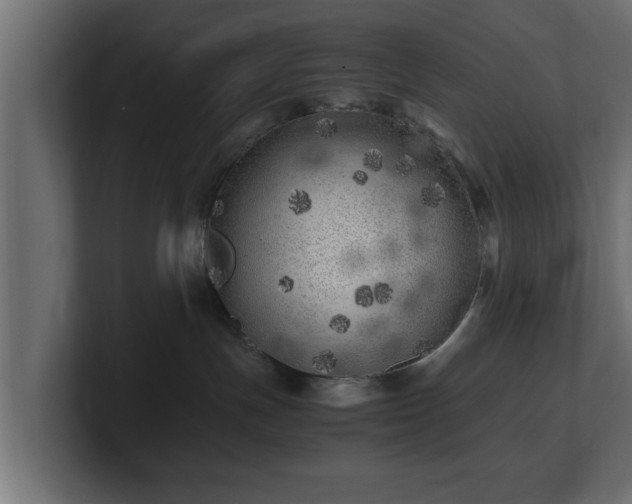 X0000100760191200806261612