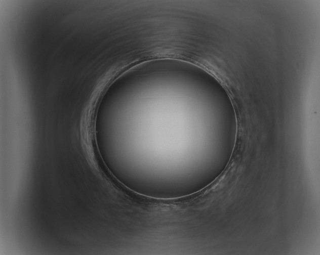 X0000100760193200806261612