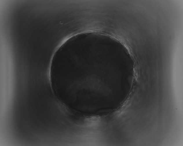 X0000100760196200806261612