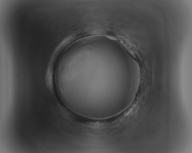 X0000100760197200806261612